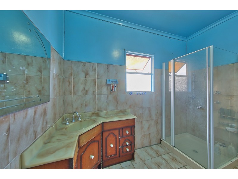 93 Beckenham Street, Canley Vale NSW 2166