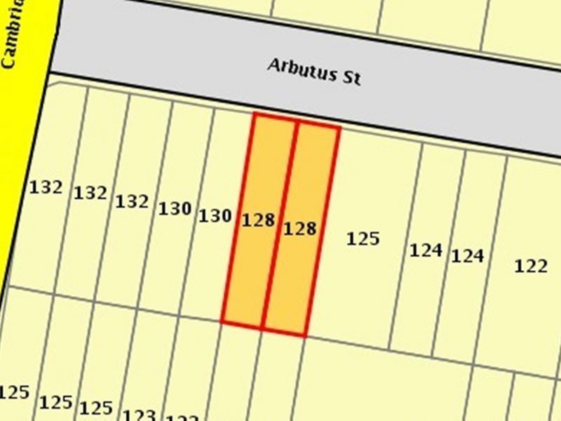 Canley Heights NSW 2166