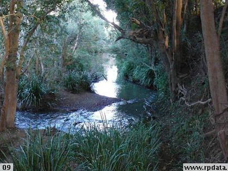 51 Primrose Sreet, Wingham NSW 2429