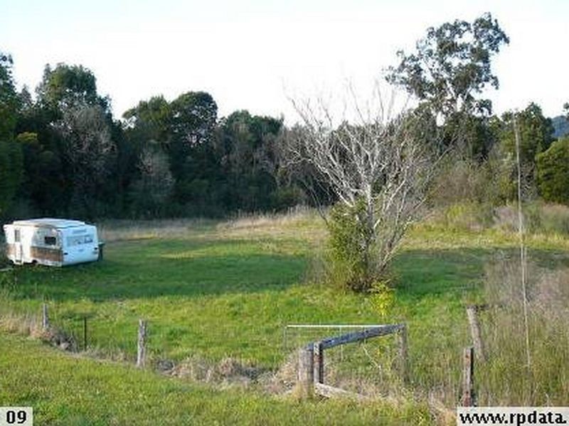 51 Primrose Sreet, Wingham NSW 2429