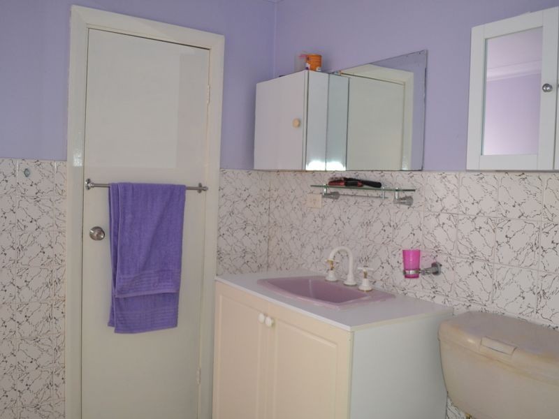 46 Lime Street, Cabramatta NSW 2166