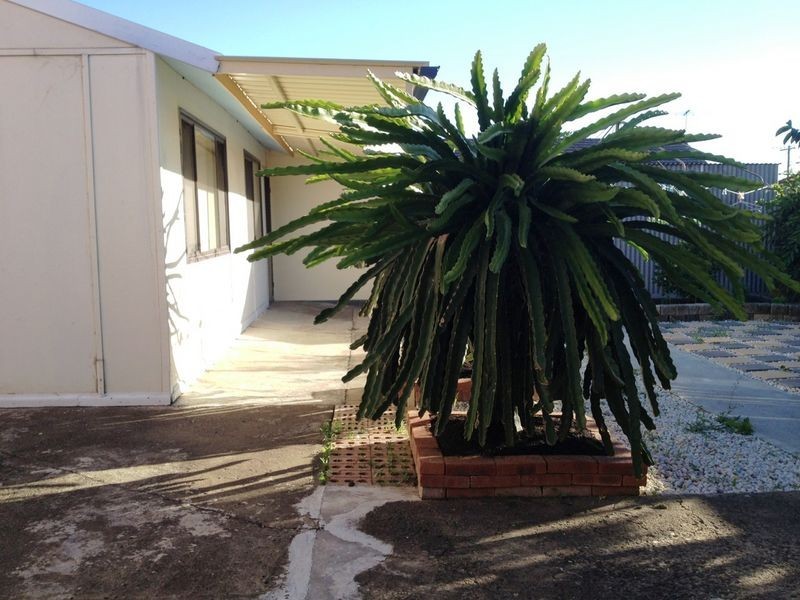 54 Earl Street, Canley Heights NSW 2166