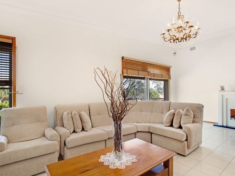 339 Elizabeth Drive, Mount Pritchard NSW 2170