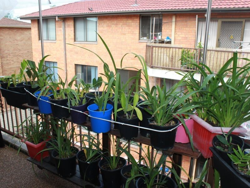 Canley Vale NSW 2166