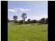 16 Melaleuca Drive, Montefiores NSW 2820