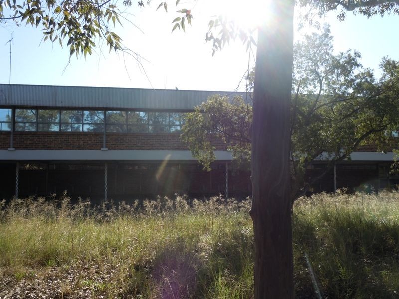 182 Miller Road, Chester Hill NSW 2162