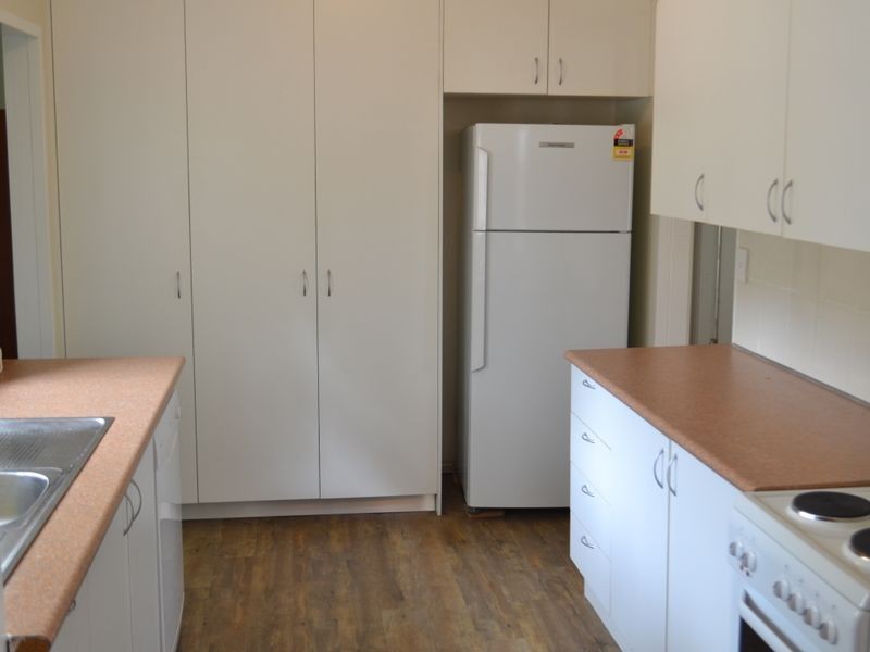 62 Oliphant Street, Mount Pritchard NSW 2170