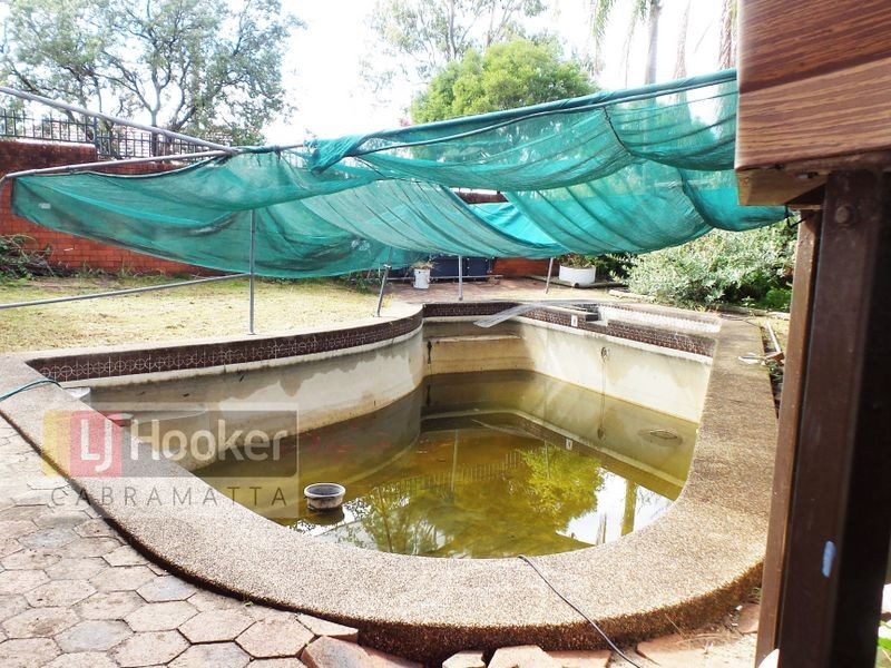 15 Woods Avenue, Cabramatta NSW 2166