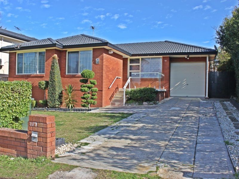 117 Water Street, Cabramatta NSW 2166