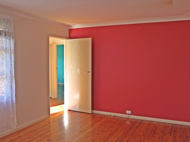 117 Water Street, Cabramatta NSW 2166