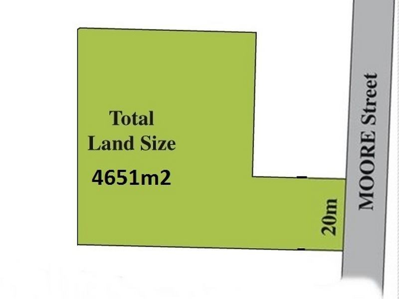 15 Moore Street, Canley Vale NSW 2166