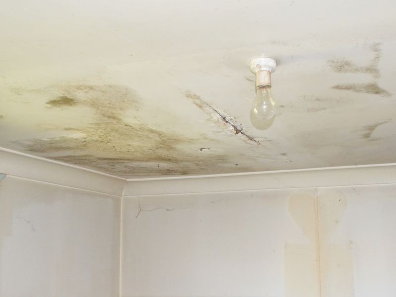 88 St Johns Road, Cabramatta NSW 2166