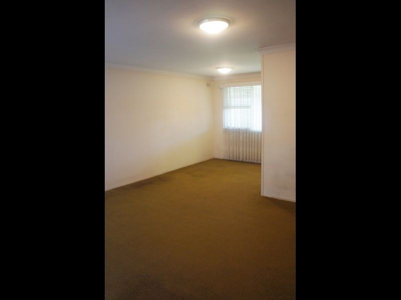 19 Bauer Road, Cabramatta NSW 2166