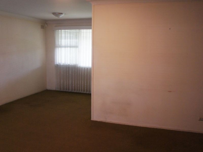 19 Bauer Road, Cabramatta NSW 2166