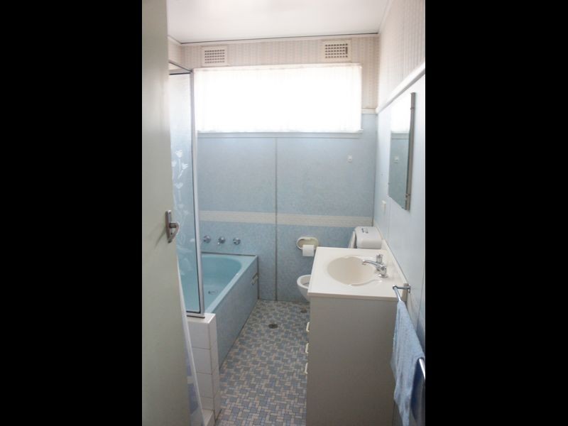 19 Bauer Road, Cabramatta NSW 2166