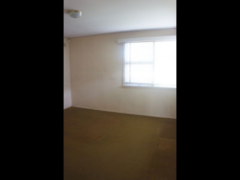 19 Bauer Road, Cabramatta NSW 2166