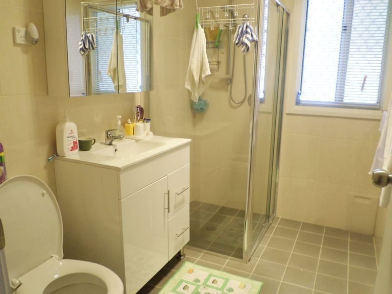 17 Togil Street, Canley Vale NSW 2166