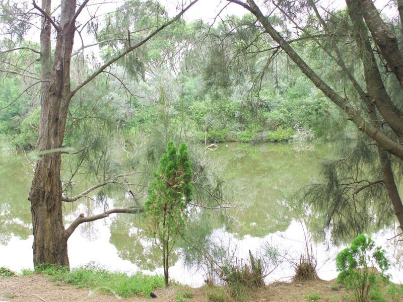 12 Riverside Road, Lansvale NSW 2166