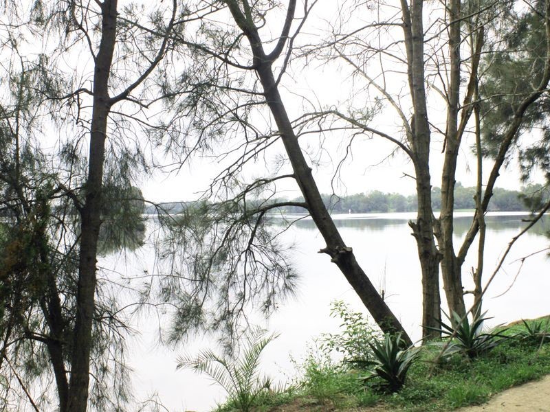 12 Riverside Road, Lansvale NSW 2166