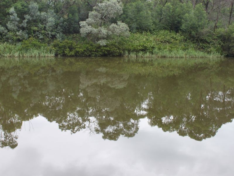 12 Riverside Road, Lansvale NSW 2166