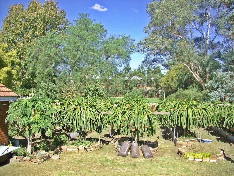 43 Munro Street, Sefton NSW 2162