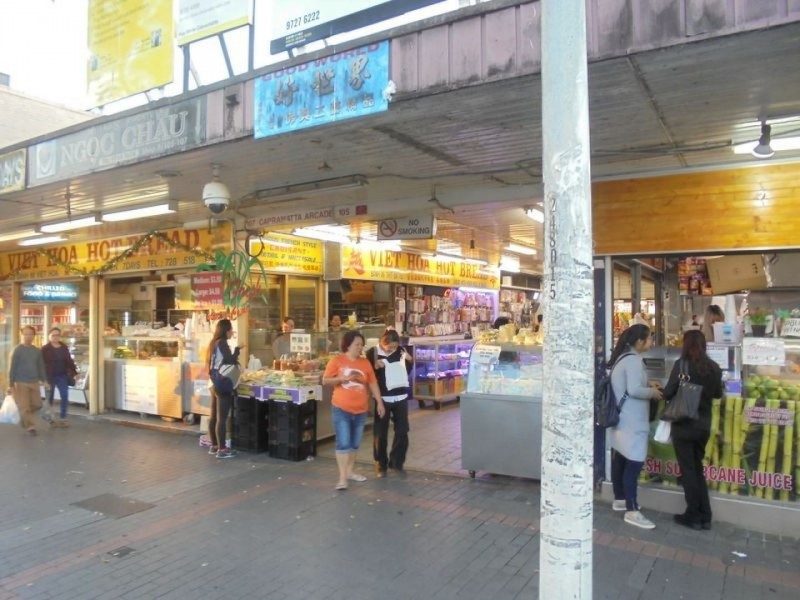 3/105 John Street, Cabramatta NSW 2166