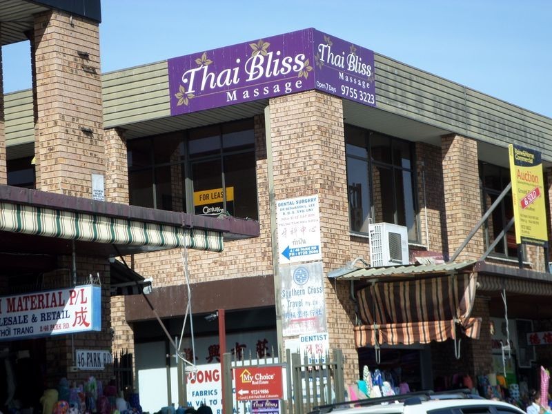 48 Park Road, Cabramatta NSW 2166