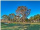 248 Eastwood Road, Leppington NSW 2179
