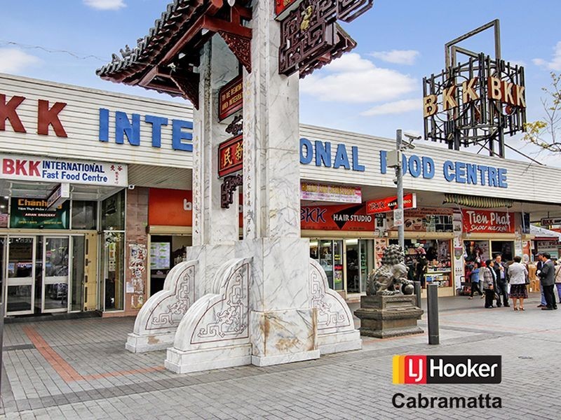 53 Park Road, Cabramatta NSW 2166