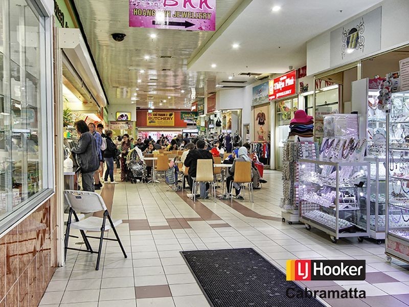 53 Park Road, Cabramatta NSW 2166