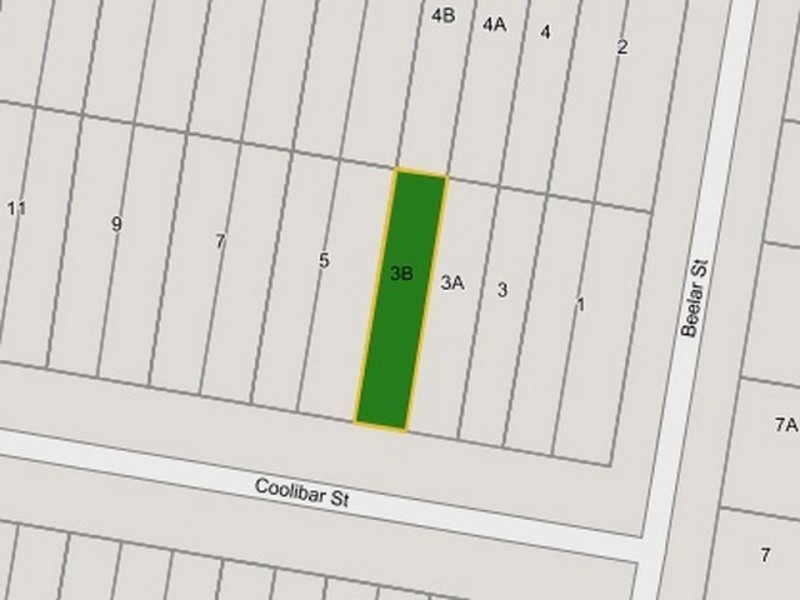 3B Coolibar Street, Canley Heights NSW 2166