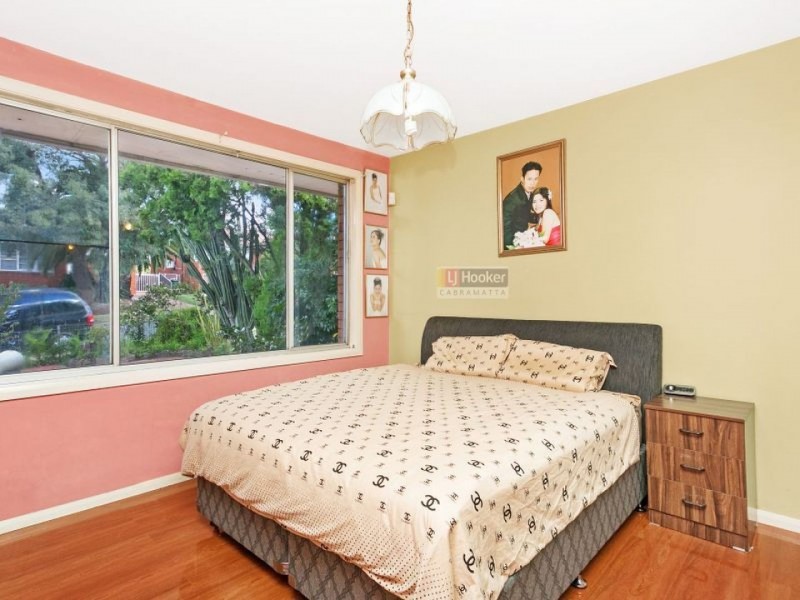 24 Judith Avenue, Cabramatta NSW 2166