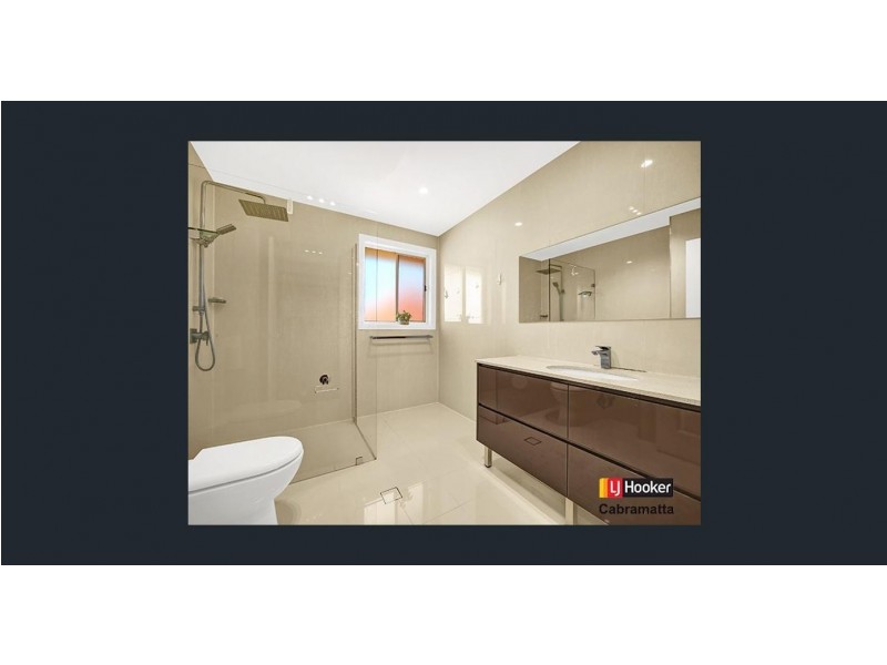 302A Canley Vale Road, Canley Heights NSW 2166