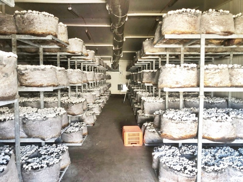 24 Reedy Road, Cattai NSW 2756