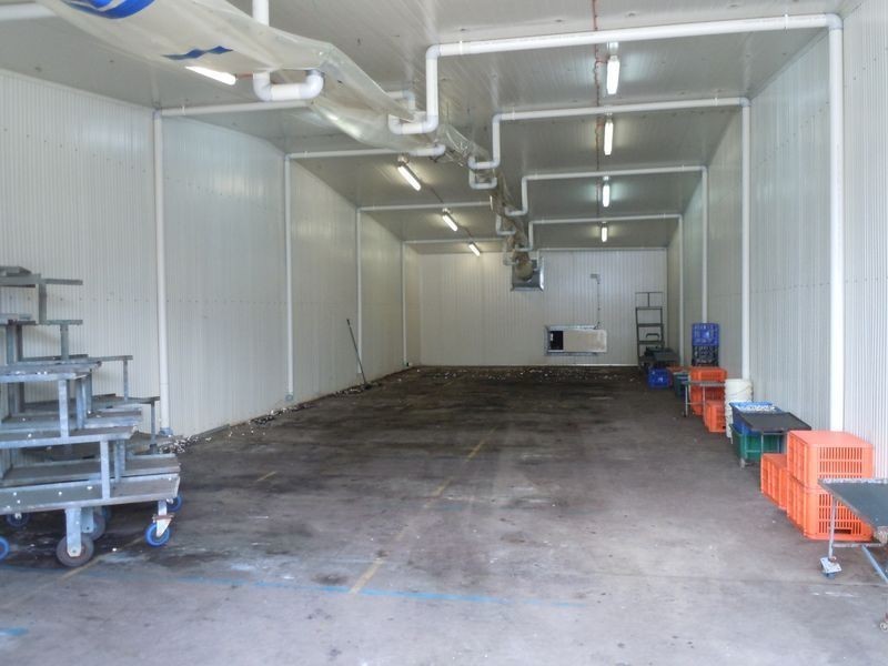 24 Reedy Road, Cattai NSW 2756