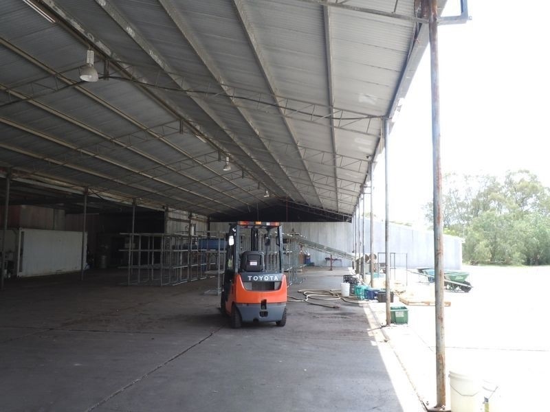 24 Reedy Road, Cattai NSW 2756