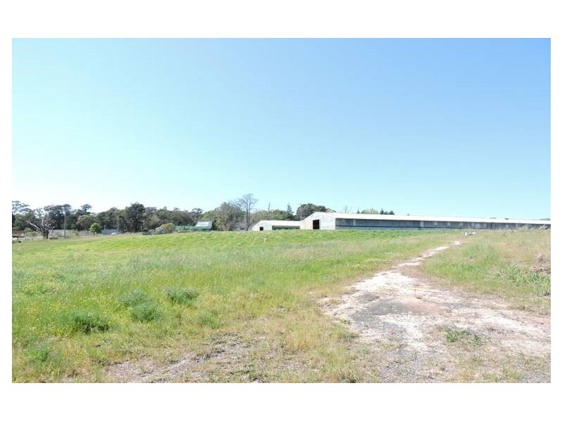 Mangrove Mountain NSW 2250