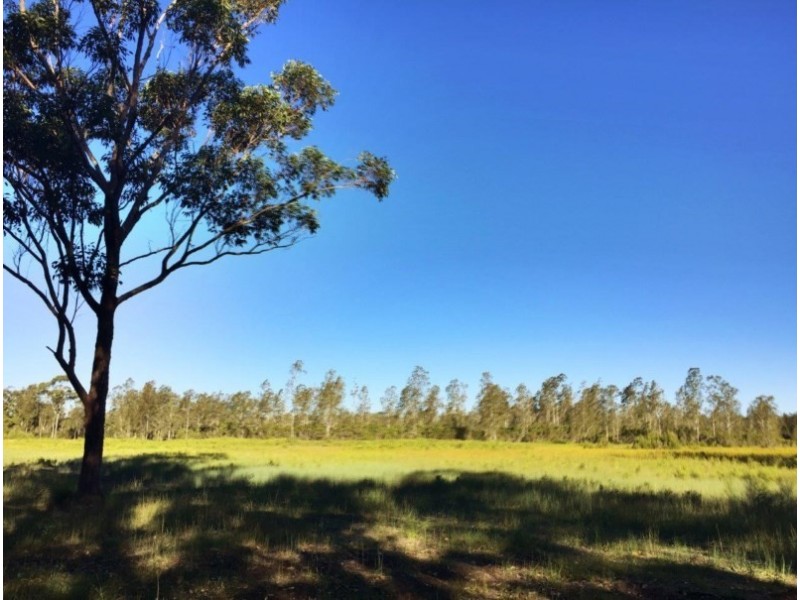 555 Follies Road, Old Bar NSW 2430