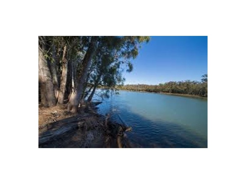 555 Follies Road, Old Bar NSW 2430