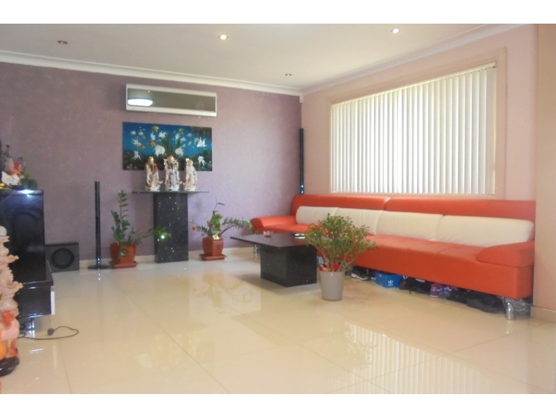 10 Barlow Crescent, Canley Heights NSW 2166