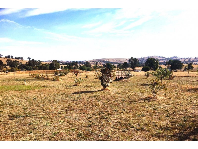 1020 Pinemount Road, Woodstock NSW 2793