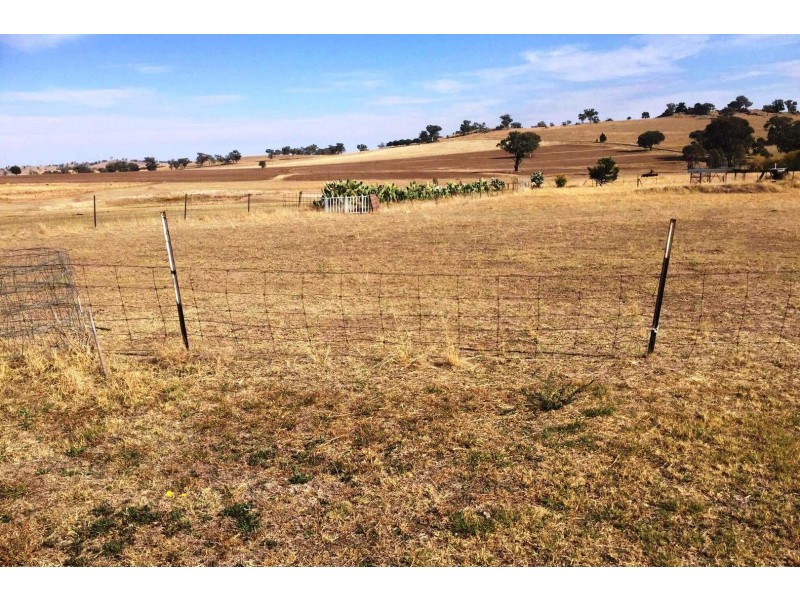 1020 Pinemount Road, Woodstock NSW 2793