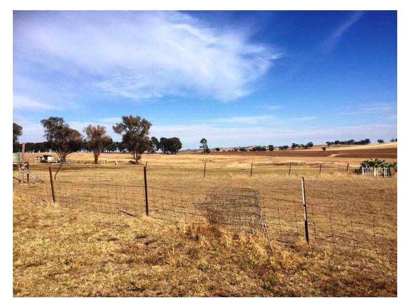 1020 Pinemount Road, Woodstock NSW 2793