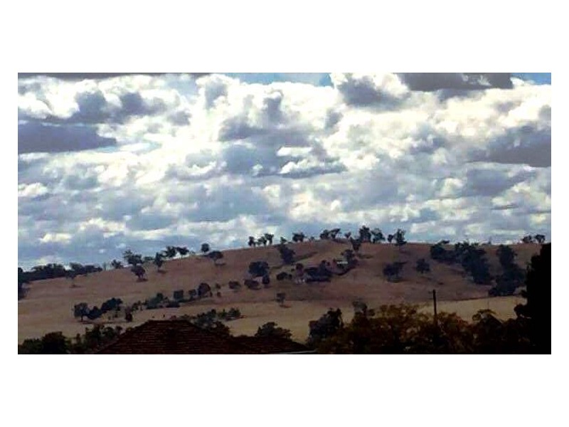 1020 Pinemount Road, Woodstock NSW 2793