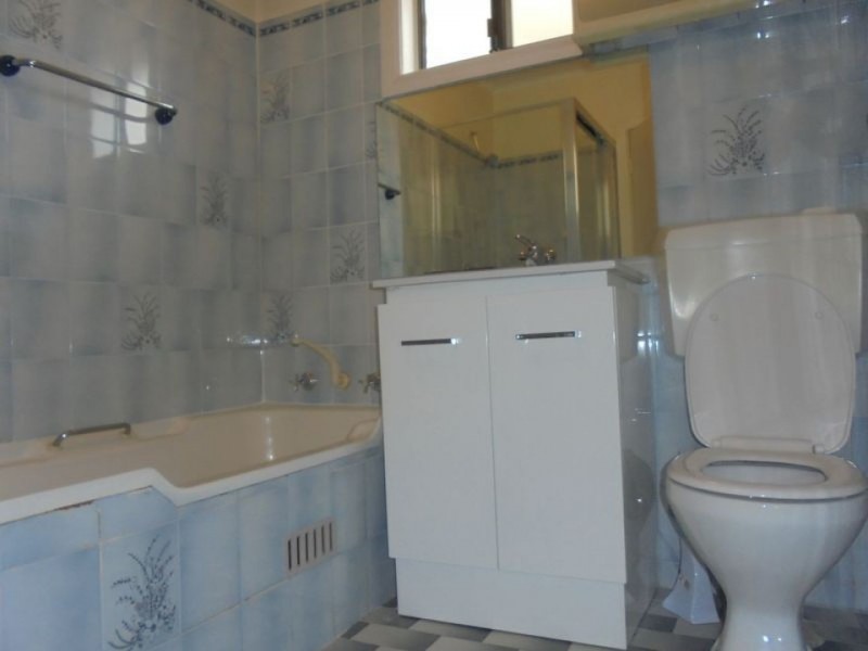 28 Coolibar Street, Canley Heights NSW 2166