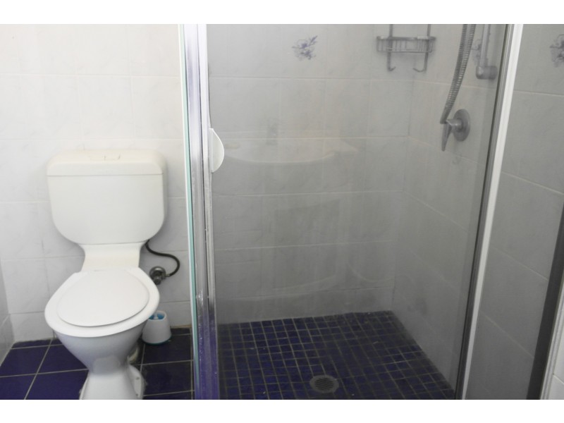 46 Derby Road, Canley Heights NSW 2166