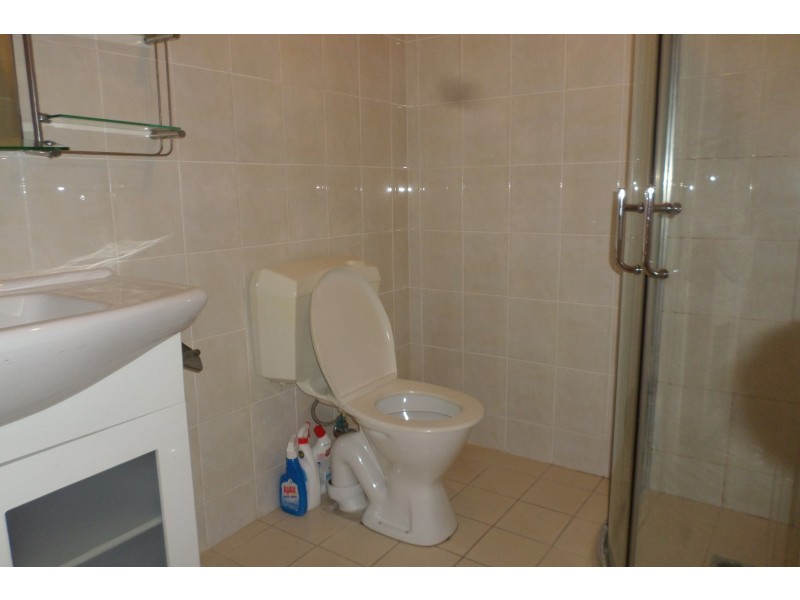 11 Shortland Street, Canley Vale NSW 2166