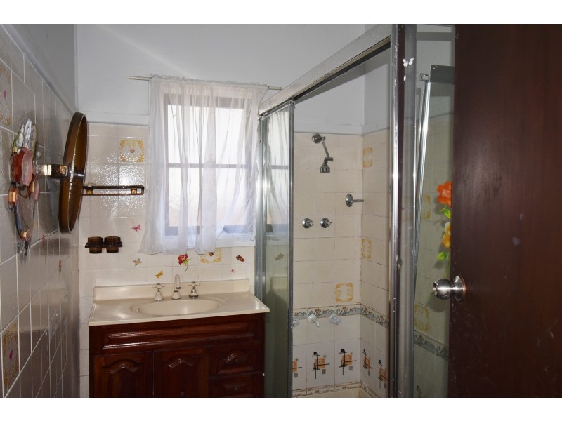 256 Hamilton Road, Fairfield Heights NSW 2165