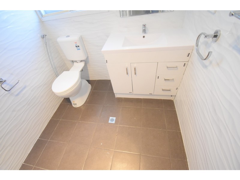 24 Allenby Street, Canley Heights NSW 2166