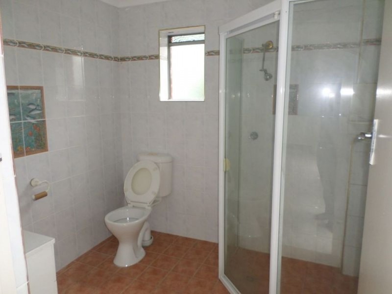 65 Beckenham Street, Canley Vale NSW 2166